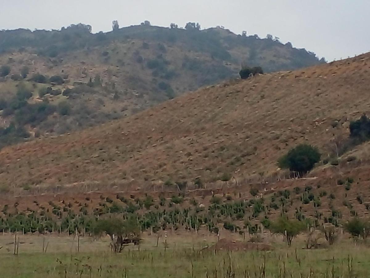El Refugio De Santa Cruz Villa Eksteriør bilde